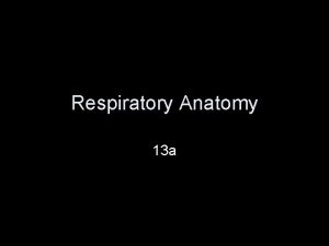 Respiratory Anatomy 13 a Organs of the Respiratory