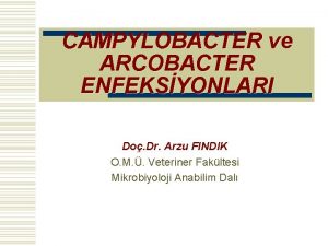 CAMPYLOBACTER ve ARCOBACTER ENFEKSYONLARI Do Dr Arzu FINDIK