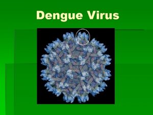 Dengue Virus Dengue Declassified Family Flaviviridae Genus Flavivirus