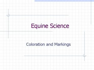 Equine Science Coloration and Markings Horse Colors There