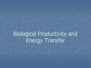 Biological Productivity and Energy Transfer Primary Productivity n