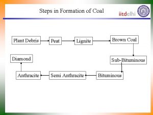 Steps in Formation of Coal Plant Debris Peat