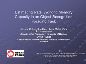 Estimating Rats Working Memory Capacity in an Object