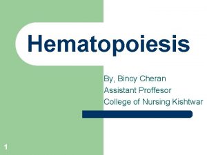 Hematopoiesis By Bincy Cheran Assistant Proffesor College of