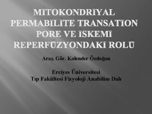 MTOKONDRYAL PERMABLTE TRANSATON PORE VE SKEM REPERFZYONDAK ROL