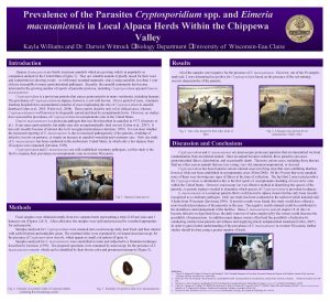 Prevalence of the Parasites Cryptosporidium spp and Eimeria