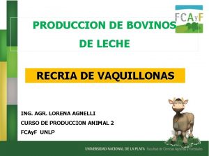 PRODUCCION DE BOVINOS DE LECHE RECRIA DE VAQUILLONAS