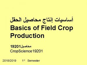 Basics of Field Crop Production 19201 Crop Science