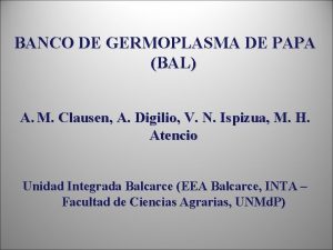 BANCO DE GERMOPLASMA DE PAPA BAL A M