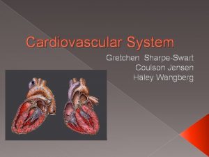 Cardiovascular System Gretchen SharpeSwart Coulson Jensen Haley Wangberg