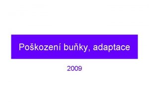 Pokozen buky adaptace 2009 HOMEOSTZA ADAPTACE Homeostza steady