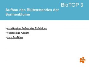 Spreublatt Spreublatt