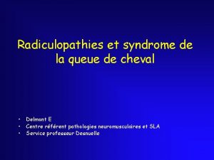 Radiculopathies et syndrome de la queue de cheval