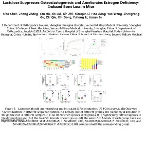 Lactulose Suppresses Osteoclastogenesis and Ameliorates Estrogen Deficiency Induced