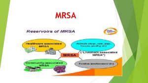 MRSA Epidemiology of MRSA Which staphylococci are subject