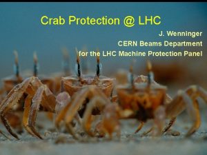 Crab Protection LHC 16 12 2010 CC MP