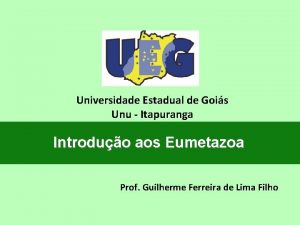 Universidade Estadual de Gois Unu Itapuranga Introduo aos