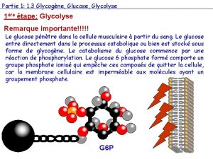 Etape glycolyse
