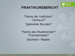 PRAKTIKUMSBERICHT Name der Institution Zeitraum geleistete Stunden Name