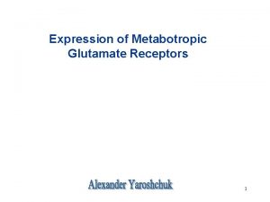 Expression of Metabotropic Glutamate Receptors 1 Scheme of