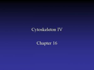 Cytoskeleton IV Chapter 16 Mechanochemical cycle of myosin