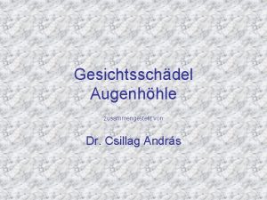 Gesichtsschdel Augenhhle zusammengestellt von Dr Csillag Andrs Verzgerung