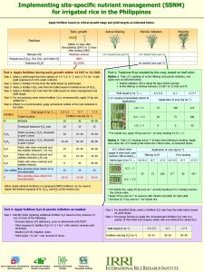 Implementing sitespecific nutrient management SSNM for irrigated rice