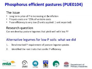 Phosphorus efficient pastures PUE 0104 The issue Long