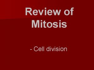 Review of Mitosis Cell division Homologous chromosomes Pairs