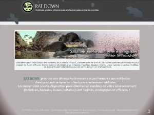 RAT DOWN propose une alternative innovante et performante