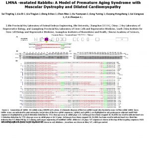 LMNA mutated Rabbits A Model of Premature Aging