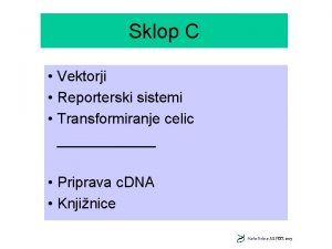 Sklop C Vektorji Reporterski sistemi Transformiranje celic Priprava