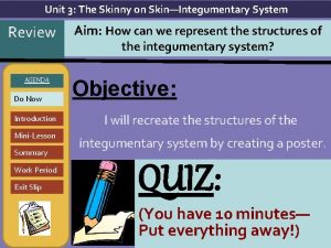 Unit 3 The Skinny on SkinIntegumentary System Review