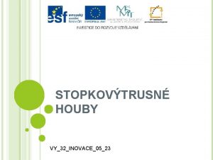 STOPKOVTRUSN HOUBY VY32INOVACE0523 STOPKOVTRUSN HOUBY Podhoub mikroskopick houbov