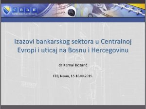 Izazovi bankarskog sektora u Centralnoj Evropi i uticaj