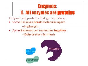 Enzymes Enzymes 1 All enzymes are proteins Enzymes