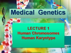 Medical Genetics LECTURE 1 Human Chromosomes Human Karyotype