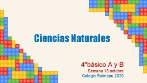 Ciencias Naturales 4bsico A y B Semana 13
