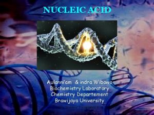 NUCLEIC ACID Aulanniam indra Wibowo Biochemistry Laboratory Chemistry