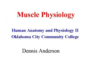 Muscle Physiology Human Anatomy and Physiology II Oklahoma