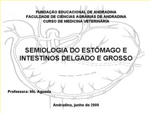 FUNDAO EDUCACIONAL DE ANDRADINA FACULDADE DE CINCIAS AGRRIAS