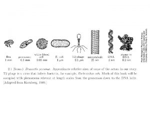 1 Cells are fundamental units of life 2