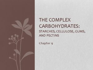 THE COMPLEX CARBOHYDRATES STARCHES CELLULOSE GUMS AND PECTINS