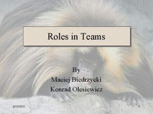 Roles in Teams By Maciej Biedrzycki Konrad Olesiewicz