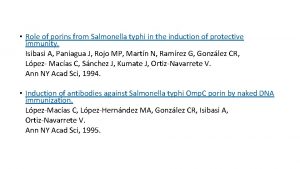 Role of porins from Salmonella typhi in the