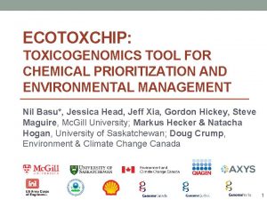 ECOTOXCHIP TOXICOGENOMICS TOOL FOR CHEMICAL PRIORITIZATION AND ENVIRONMENTAL