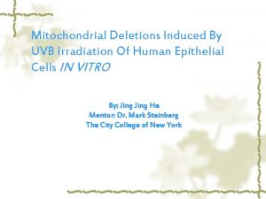 Mitochondrial Deletions Induced By UVB Irradiation Of Human
