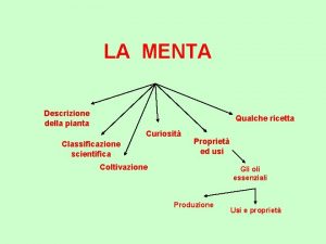 LA MENTA Descrizione della pianta Qualche ricetta Curiosit