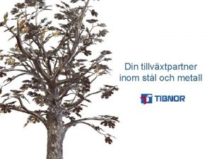 Din tillvxtpartner inom stl och metall Samlad kompetens