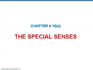 CHAPTER 15d THE SPECIAL SENSES Copyright 2010 Pearson